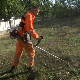 Лозница: Косач у хуманитарне сврхе