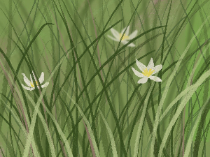 Поезија: Зорица Бајин Ђукановић 4