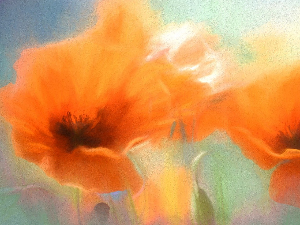 Поезија: Зорица Бајин Ђукановић 7