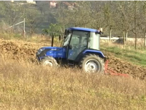 Јутарњи програм из три студија