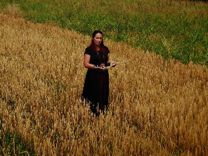 Археокухиња: Неолитски ручак, 3-4