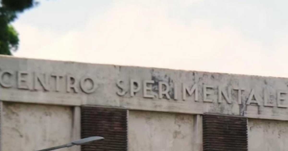 Пут у будућност - У потрази за разлогом слике: Сентиментално васпитање, 4-12