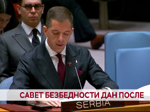 Савет безбедности дан после