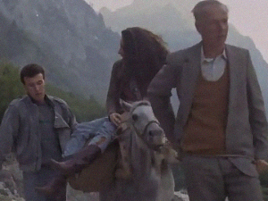 ТВ драма: Бруклин Гусиње 