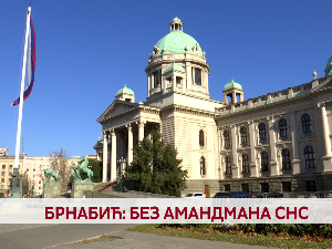 Брнабић: Без амандмана СНС