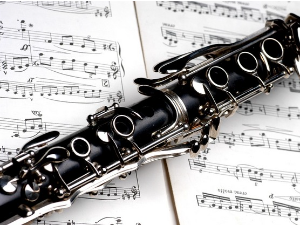 Музиком кроз концертне подијуме