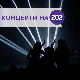 Концерти на 202: Неверне бебе, Дивље јагоде, Тања Јовићевић и Репетитор