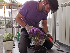 Са Ђолетом у башти:	1-10