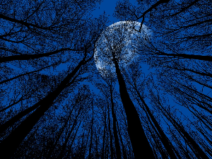 Тихо ноћи