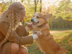 Стан у наследство – може! Љубимац – не може! Могу ли животиње бити поклони, играчке и ствар аманета