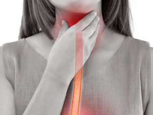 Уљима против упаљеног грла, које врсте су најделотворније Уљима против упаљеног грла, које врсте су најделотворније