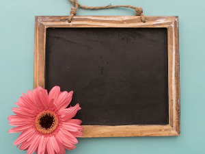 Портрет – Златни дечаци