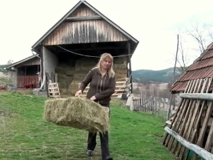 Јутарњи програм из три студија