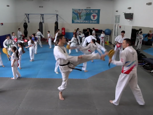 Таеквондисткиња Јана Лукић се већ годинама са турнира не враћа без медаље