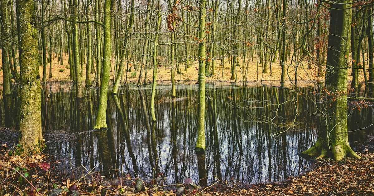 Упозорење на Дан влажних станишта – заслужна су за воду, храну, чист ваздух, а губимо их великом брзином