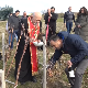 Празник виноградара и винара