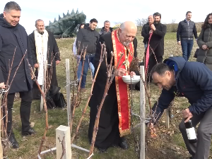 Празник виноградара и винара