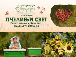 Уприродисе : Пчелињи свет