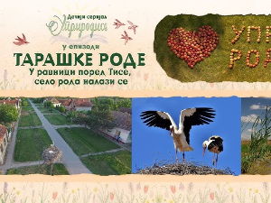 Уприродисе: Тарашке роде