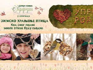 Уприродисе : Зимско храњење птица