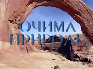 Очима природе: Игра светла и таме