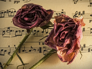 Преглед музичке недеље 