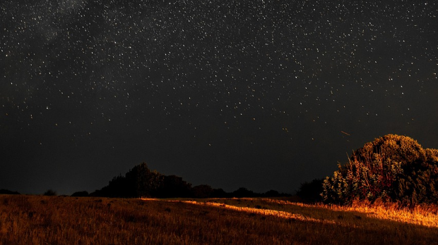Боја, звук и покрет