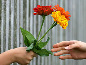 Породична прича