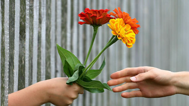 Породична прича