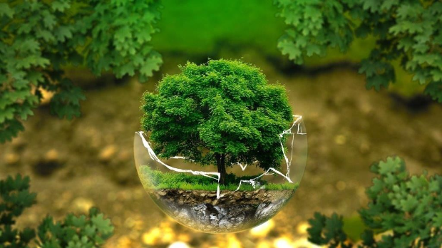 Еду глобал, 270. еп. (R)