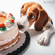 У Белгији оборен рекорд за највећу торту за псе – тежи 454 килограма