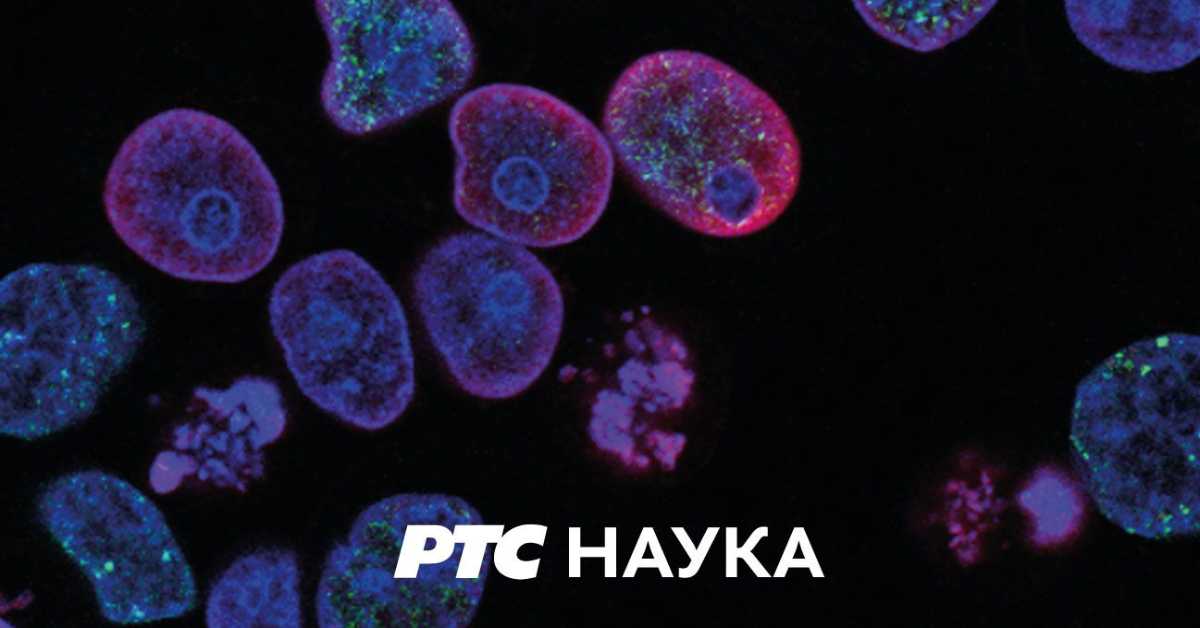 Приђи ближе: Љубав је најбољи учитељ, 11. еп.