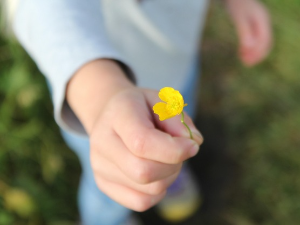 Светски дан љубазности