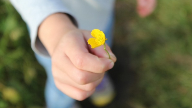 Светски дан љубазности