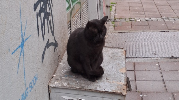 Нови дан: Јутарњи викенд програм