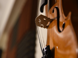 Једина права соната за виолину и клавир 