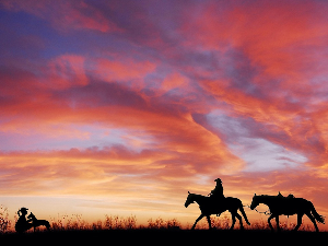 Нова студија: Пси прате људе у миграцијама широм Евроазије већ 10.000 година
