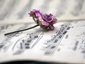 Породична прича