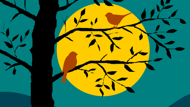 Мале ноћне приче