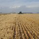 Неопходно прилагођавање пољопривреде на климатске промене