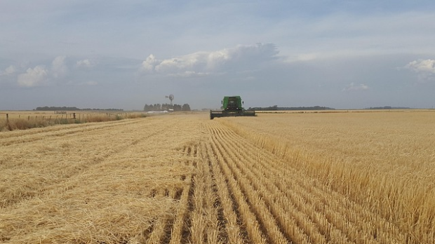 Неопходно прилагођавање пољопривреде на климатске промене