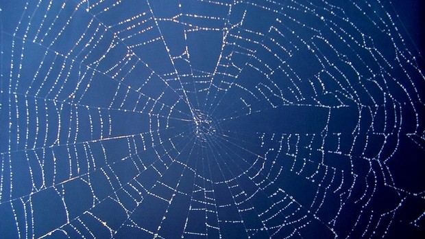 Драмски програм: Вид Вукасовић: Хроносфера