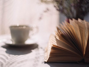 Срђан Гагић: ,,Шербет“ 