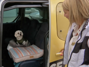 Шабац добио први пет такси  