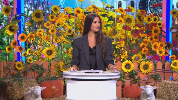 Ја волим Србију