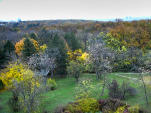Позно михољско лето је завршено – Недељко Тодоровић открива колико ће потрајати захлађење