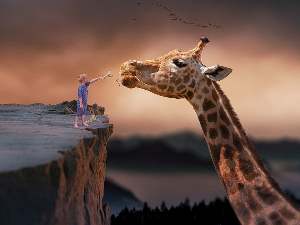 Да ли сањамо црно-беле или снове у боји Да ли сањамо црно-беле или снове у боји