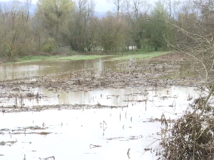 Излила се Јужна Морава у врањском крају, девет особа евакуисано