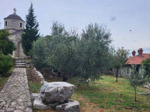 Родославци: Бешка, сјај острва нара