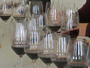 У суботу почиње „Винска визија Отвореног Балкана“, жири већ дегустира и оцењује